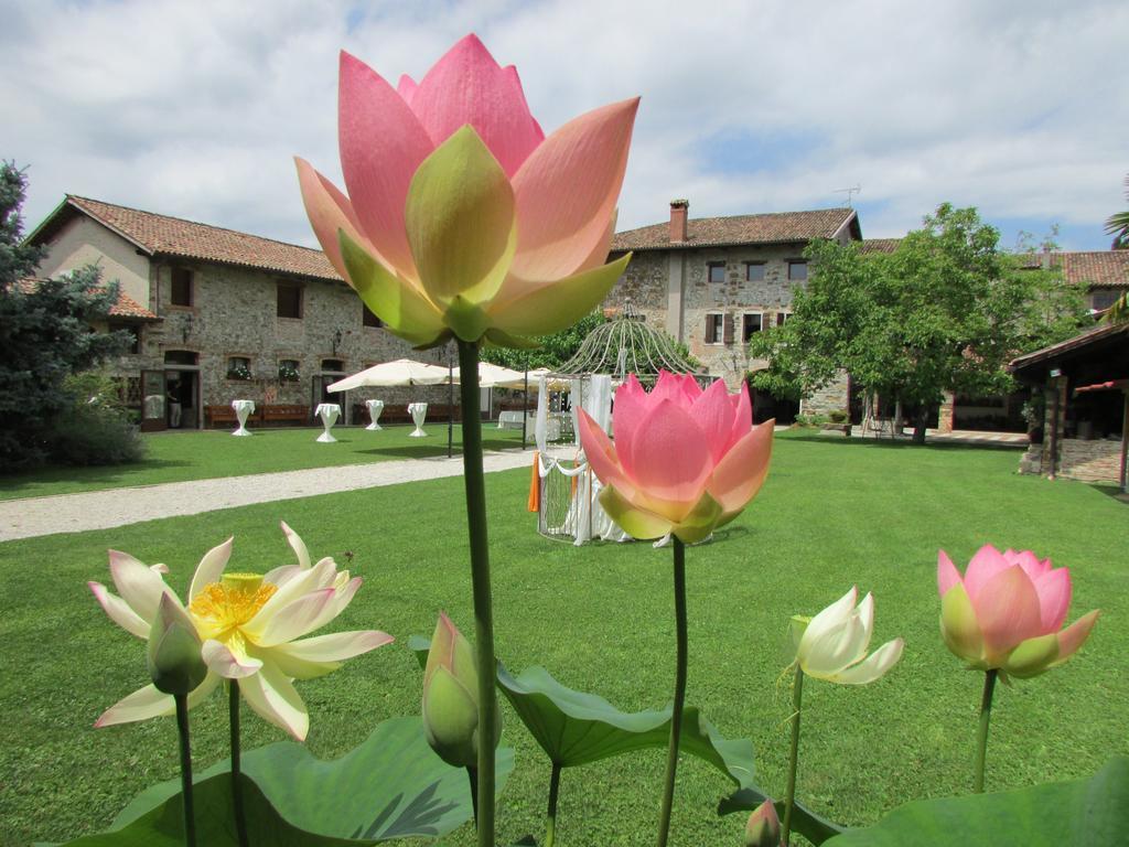 Agriturismo Il Vagabondo 부트리오 외부 사진